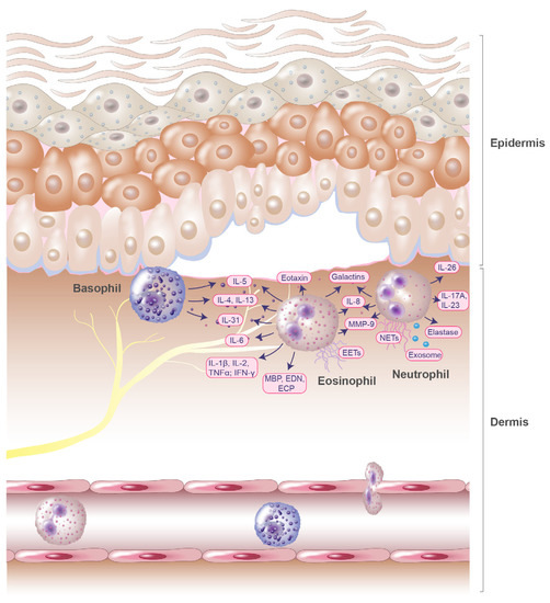 Biomolecules 13 01019 g001 550