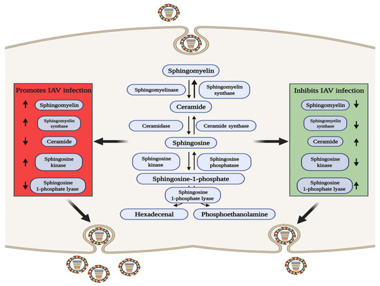 Pathogens 10 00303 g002 550