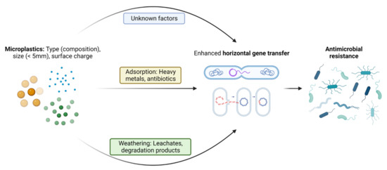 Pathogens 12 00888 g002 550