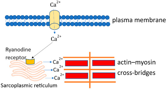 Biomedicines 11 01895 g002 550