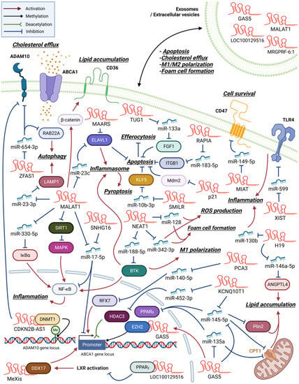 Biomedicines 11 01905 g002 550