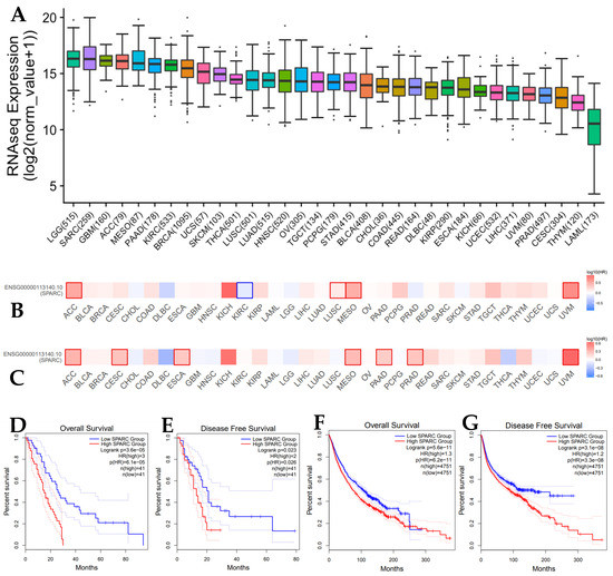 Biomolecules 13 01103 g001 550