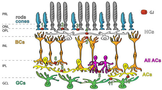 Biomolecules 13 01119 g001 550