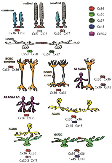 Biomolecules 13 01119 g002 550