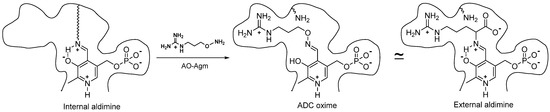 Biomolecules 10 00406 g007 550