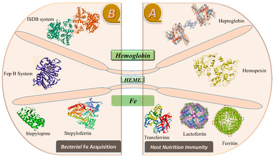 Metabolites 13 00839 g001 550