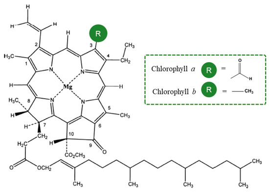 Molecules 28 05344 g001 550