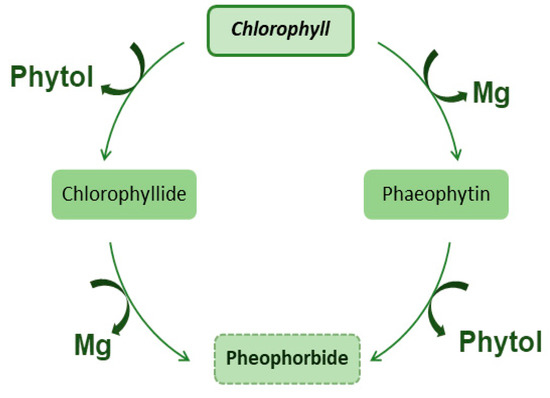 Molecules 28 05344 g002 550