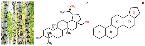 Biomolecules 13 01105 g001 550