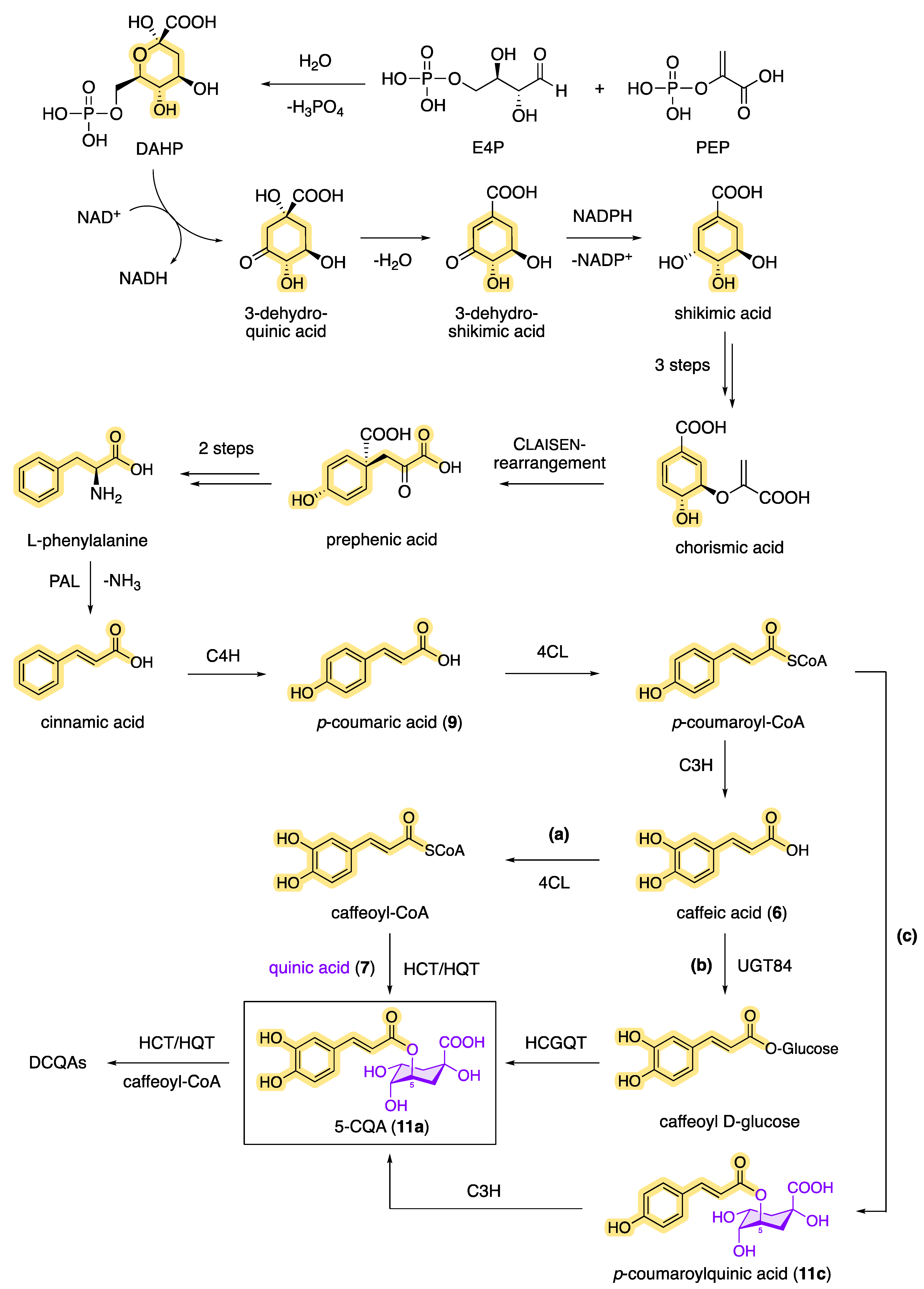 Molecules 28 05540 g008