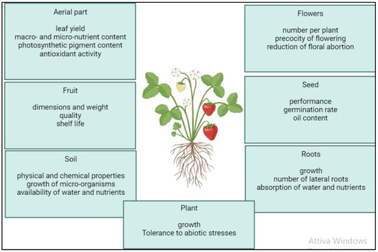 Horticulturae 09 00829 g002 550