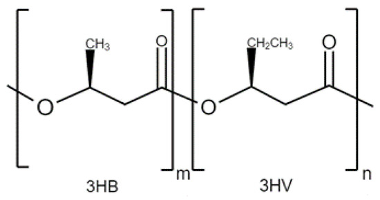 Ijms 24 11674 g004 550