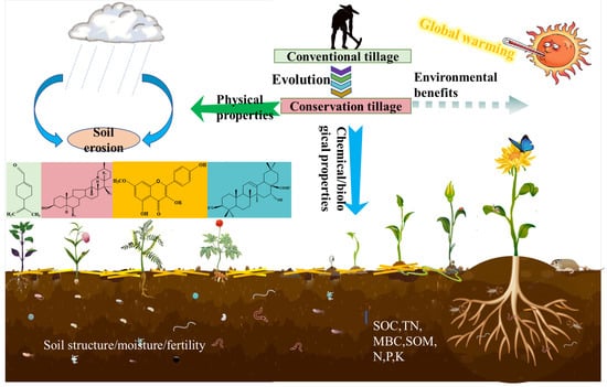 Agronomy 13 01890 g003 550