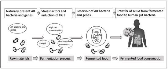 Fermentation 09 00688 g001 550