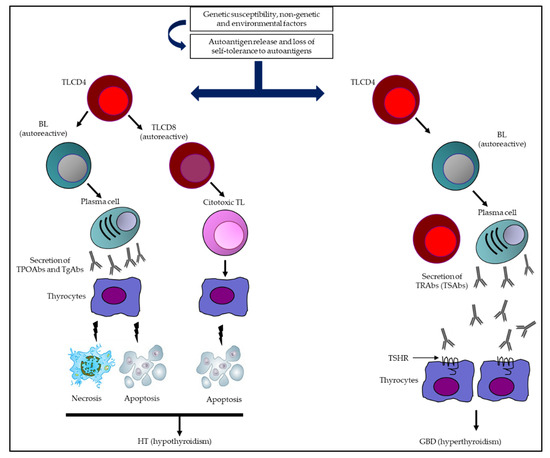 Antibodies 12 00048 g001 550