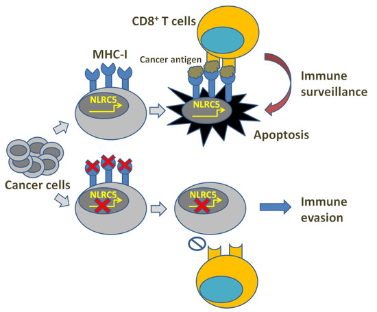 Cells 12 01882 g001 550