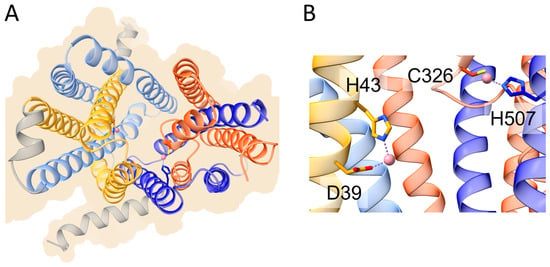 Biomolecules 13 01172 g002 550