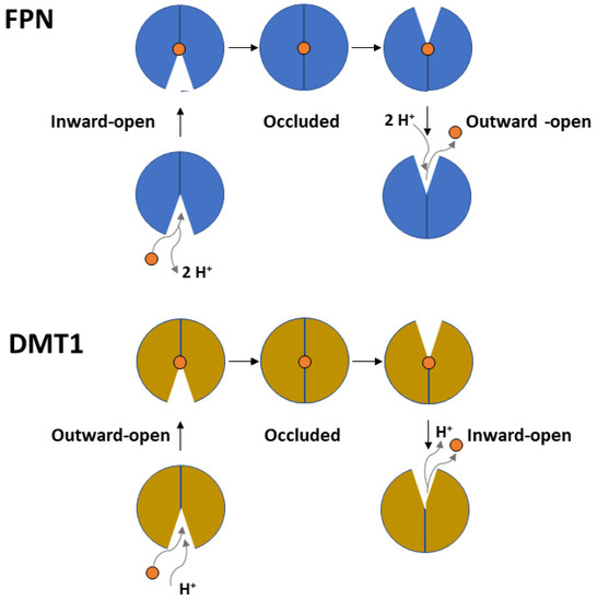 Biomolecules 13 01172 g003 550