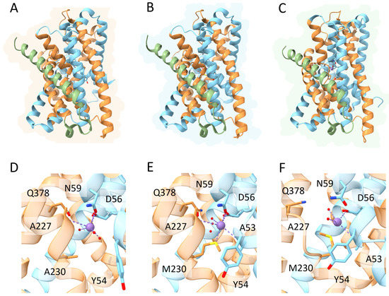 Biomolecules 13 01172 g004 550