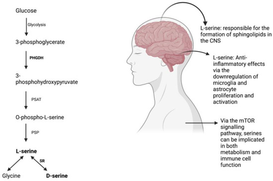 Biomedicines 11 02117 g001 550