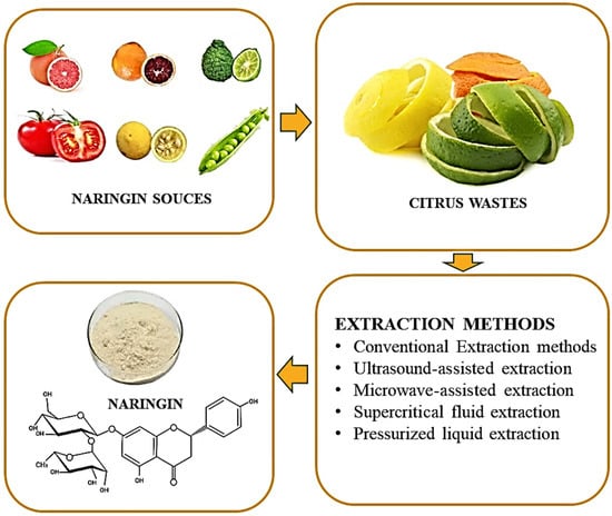 Molecules 28 05623 g003 550