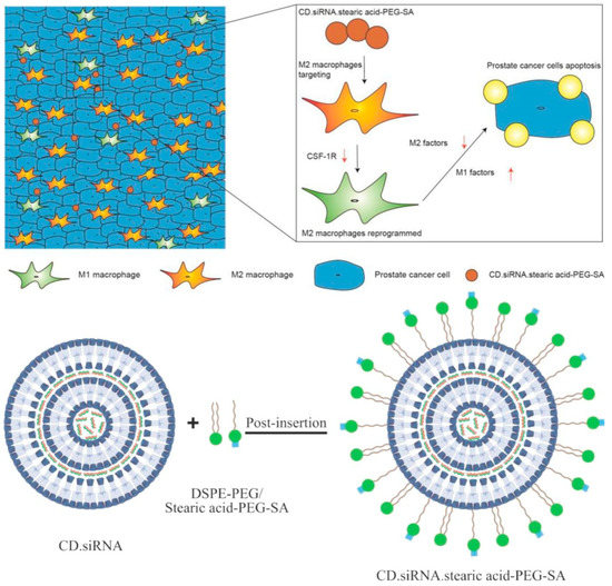 Molecules 28 05610 g003 550