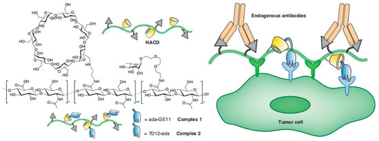 Molecules 28 05610 g006 550