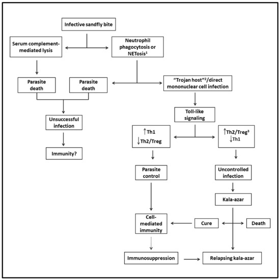 Pathogens 12 00969 g001 550