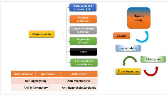 Biomedicines 11 02078 g001 550