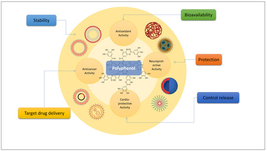 Biomedicines 11 02078 g003 550