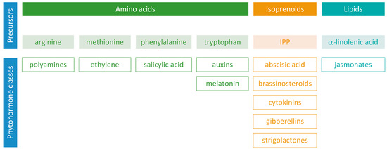 Metabolites 13 00884 g001 550