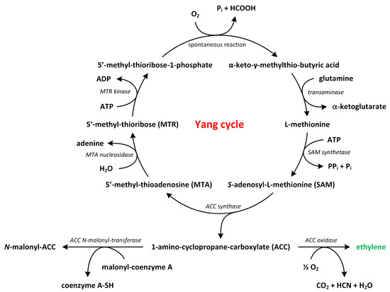 Metabolites 13 00884 g003 550