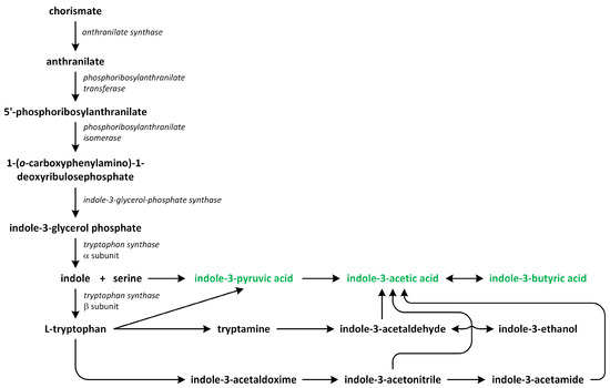 Metabolites 13 00884 g005 550