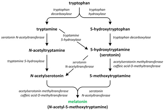 Metabolites 13 00884 g006 550