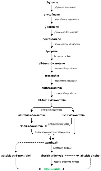 Metabolites 13 00884 g008 550