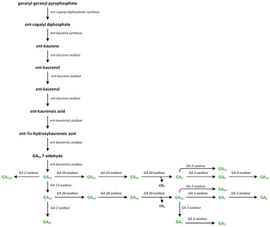 Metabolites 13 00884 g011 550