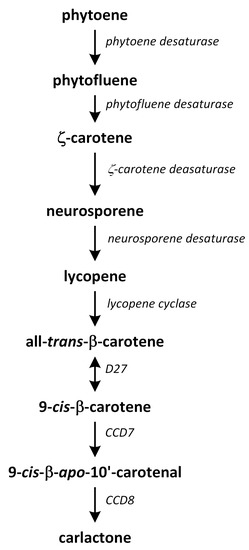 Metabolites 13 00884 g012 550