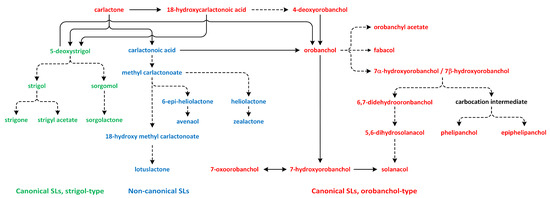 Metabolites 13 00884 g013 550