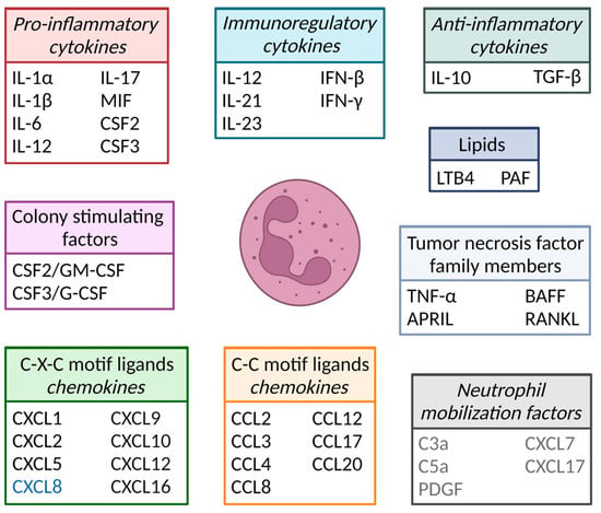 Cells 12 01981 g002 550