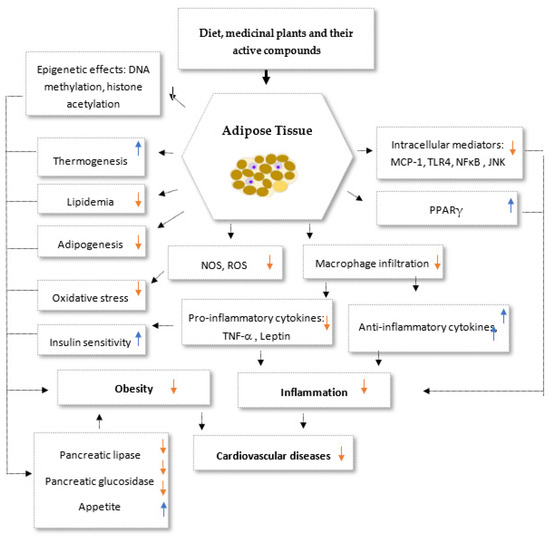 Biomedicines 11 02204 g005 550