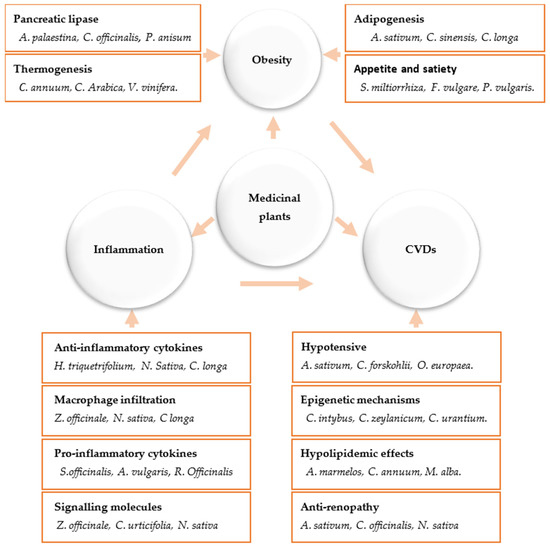 Biomedicines 11 02204 g002 550