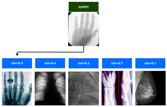 Diagnostics 13 02582 g012 550