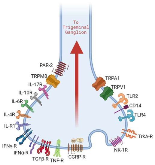 Biomolecules 13 01193 g001 550