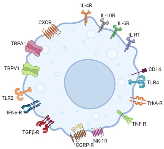 Biomolecules 13 01193 g002 550