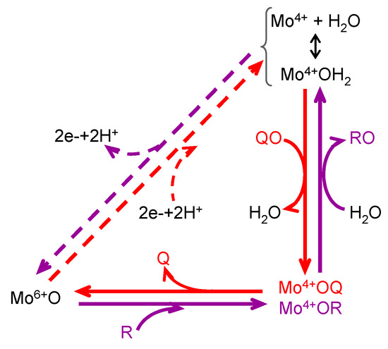 Molecules 28 05819 g002 550