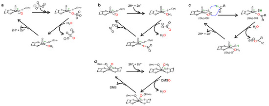 Molecules 28 05819 g003 550