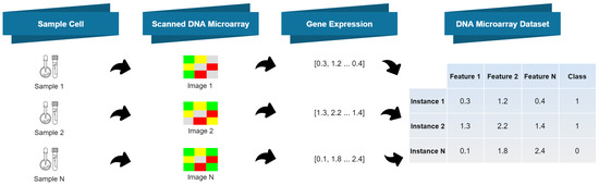 Biomedinformatics 03 00040 g002 550