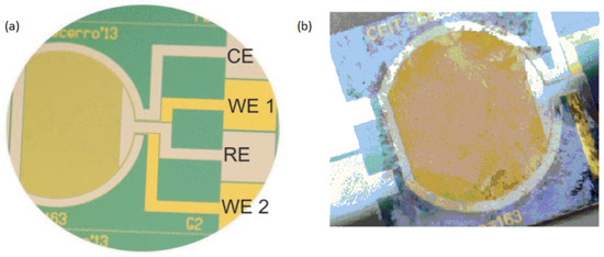 Biosensors 13 00777 g004 550