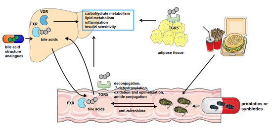 Microorganisms 11 02059 g001 550