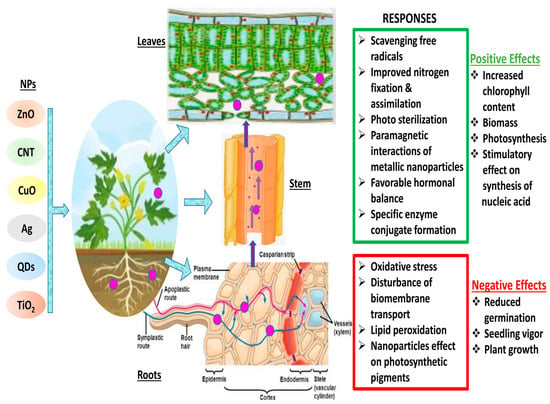 Agronomy 13 02112 g001 550